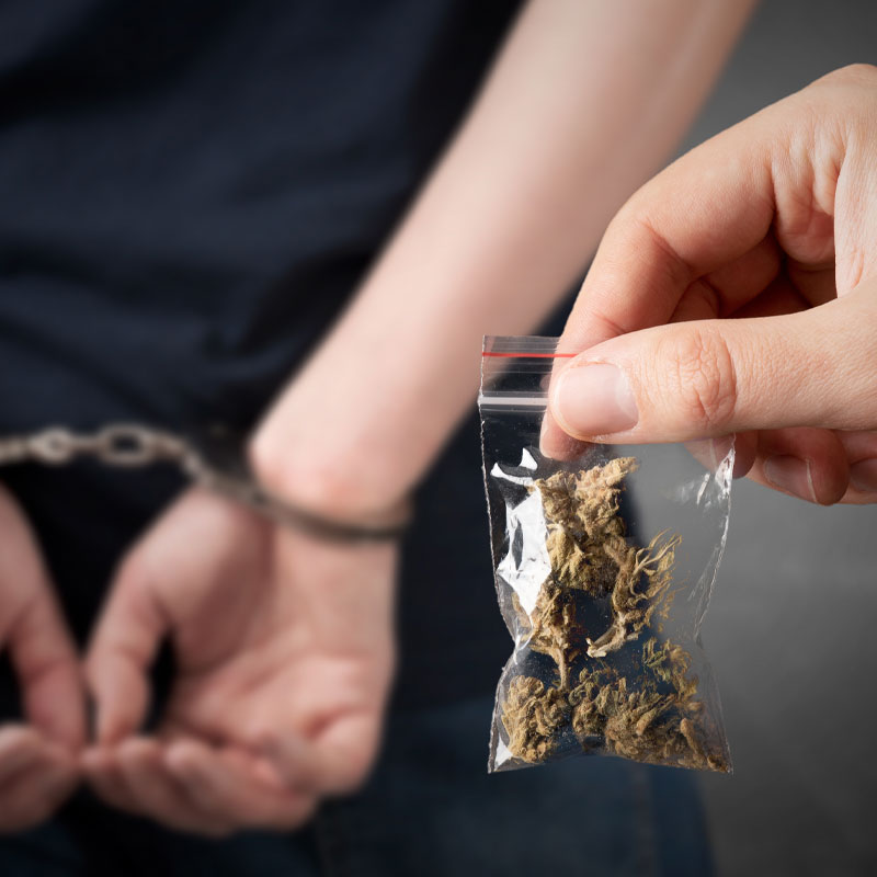 Cannabis Lawyer Attorney in Mobile Alabama